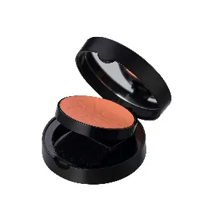 Luminous Silk Compact Blusher